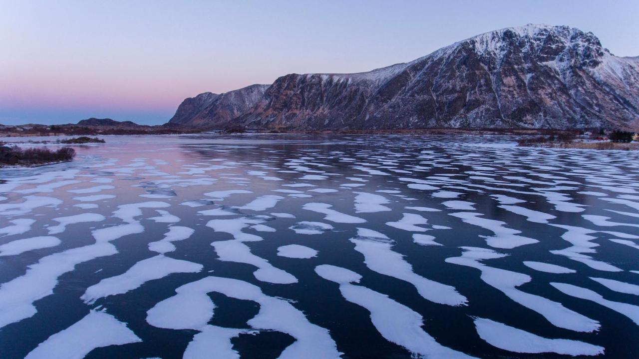 Wildlife Panorama Lofoten Bostad Екстер'єр фото